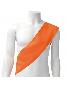 Banda Miss/Míster Streck... 2