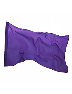 Bandera publicidad lisa... 2