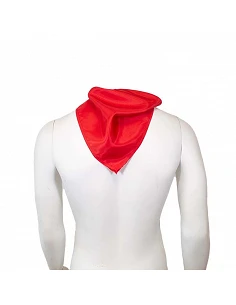 Fazzoletto in Acetato Rosso...