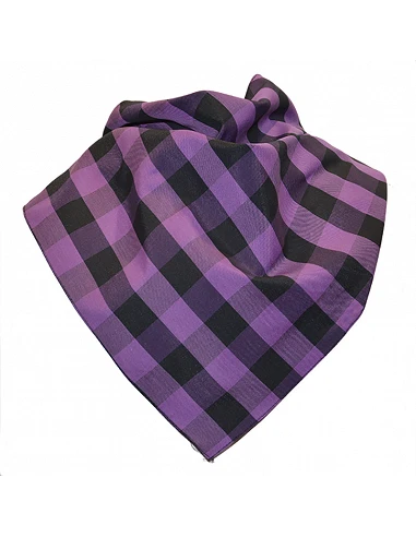 Pañuelo cachirulo nacional