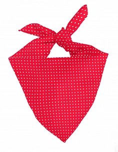 Pañuelo Castellers topitos...