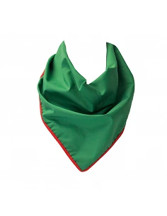 Lenço Vivo nacional 2