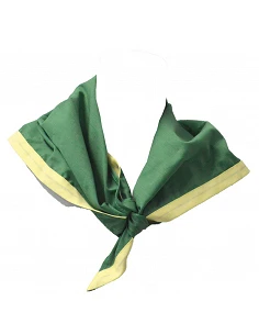 Lenço Scout nacional 2