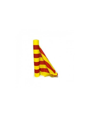 Bandera a metros Aragón y España...