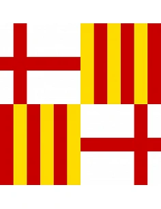 Bandiera Barcellona con... 2