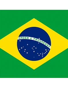 Bandera Brasil con anillas... 2