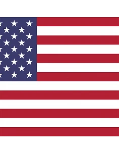 Bandera Estados Unidos con... 2