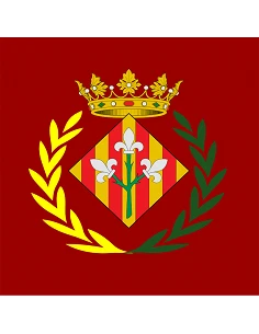 Bandiera Lleida con anelli... 2