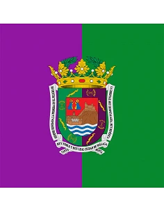 Bandera Málaga con anilla y... 2