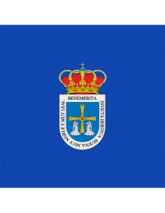 Bandera Oviedo con anillas... 2