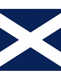 Bandera Tenerife con... 2