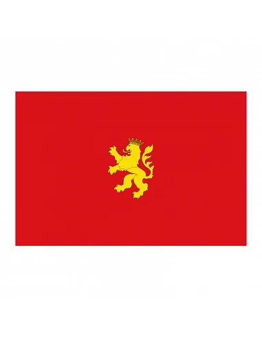 Bandera Zaragoza con anilla y refuerzo