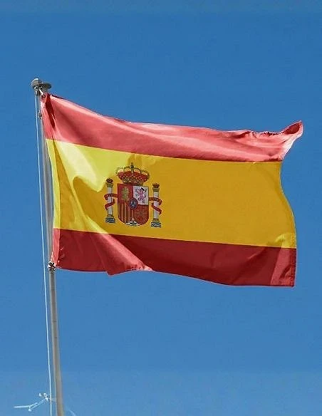 Bandera institucional